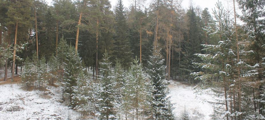 При каких температурах в школу можно не идти. Следите за ветром