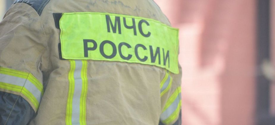 От огня пострадал садовый дом