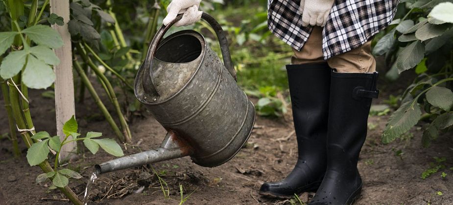 Поливочный сезон в Североуральске с 1 или с 15 мая?