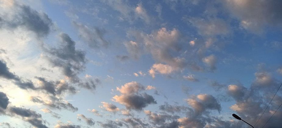 К выходным придет похолодание до 2 градусов. В ночь на субботу возможны заморозки