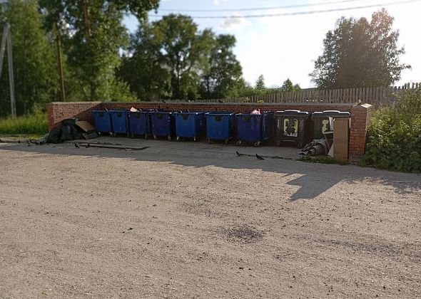 “Настолько раздражает реформа…” Депутаты ответили на жалобу по поводу мусора на контейнерной площадке