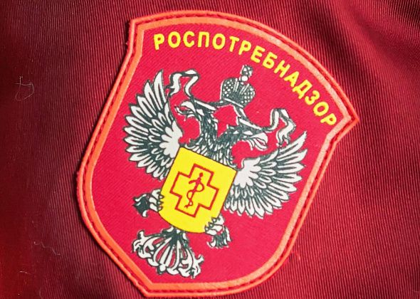 Роспотребнадзор помог горожанке взыскать с продавца на «WB» деньги за некачественный товар