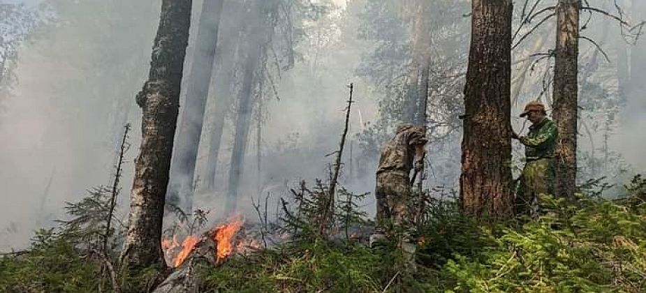 Пожар в заповеднике “Денежкин Камень”. Горит 63 гектара, дождей не предвидится