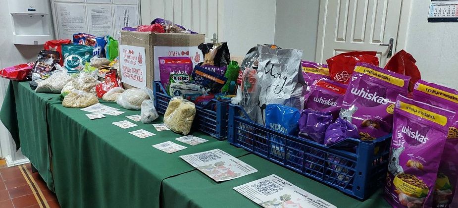 Любовь к животным объединяет!