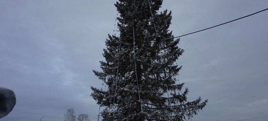 29 января ДЮДЦ “Ровесник” приглашает в поселок Третий Северный на закрытие новогодней елки