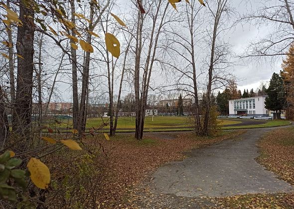 В субботу на стадионе “Горняк” пройдет городской фестиваль “Когда мы вместе”