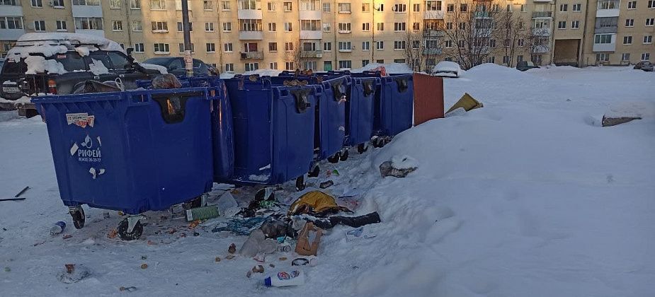 “Рифей” прокомментировал ситуацию с замусоренными площадками и состоянием контейнеров. Сами, все сами...