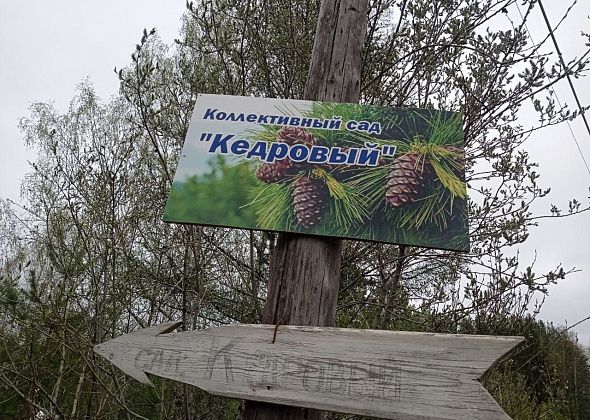 Елена Ковыршина: “Дача – это про выгоду или просто хобби?”