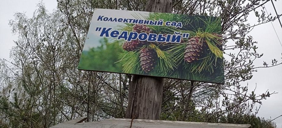 Елена Ковыршина: “Дача – это про выгоду или просто хобби?”