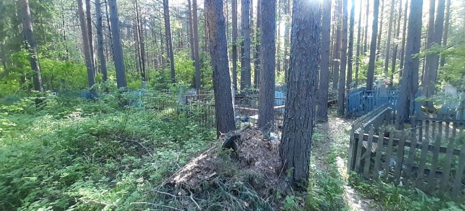 Жительница Североуральска расстроена состоянием старого кладбища: "Вот это — ужас"