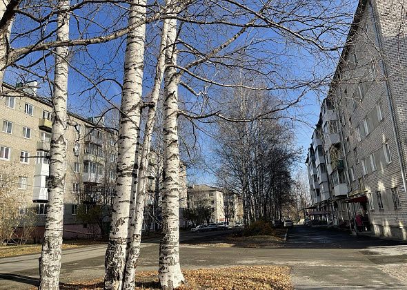 До конца октября температура воздуха на севере области будет близка к нулю градусам