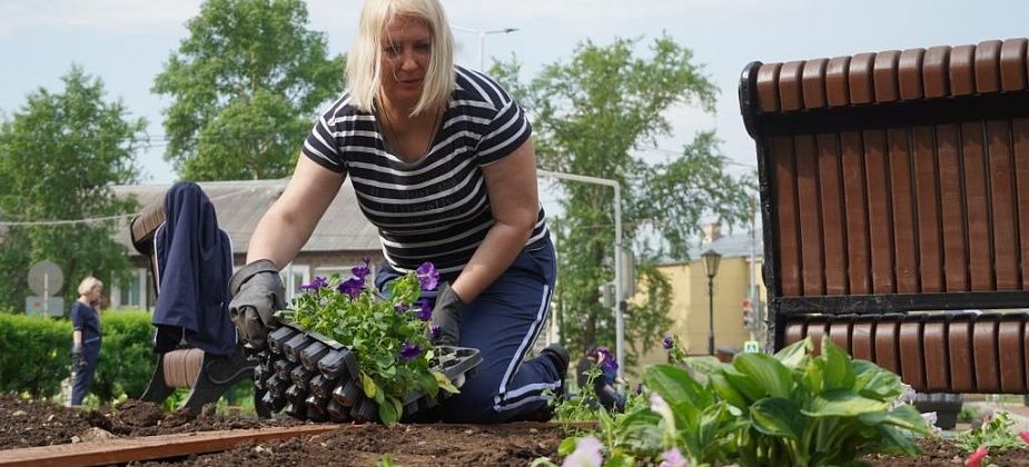 СУБР зацветет как настоящий сад 