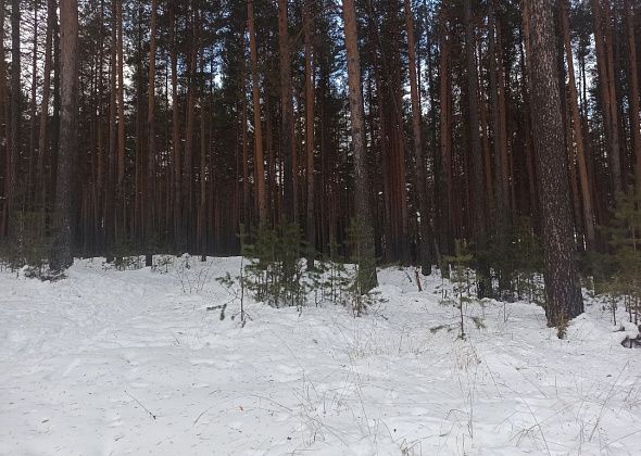 Приметы на 9 января. Гадаем на замужество, не отказываем просящим