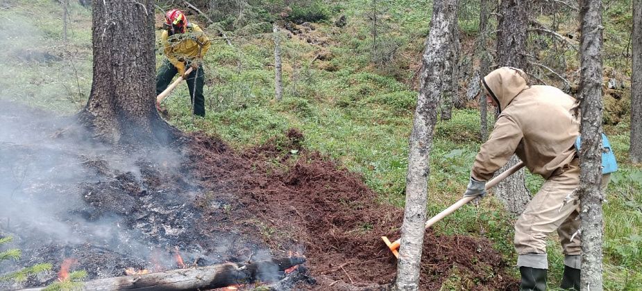 На пожаре в заповеднике работают 86 человек. Повар нашелся