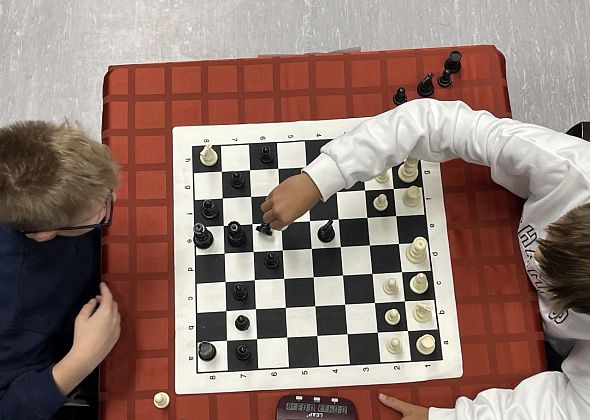 Североуральские шахматисты завоевали три золота на областном первенстве «Точки роста»