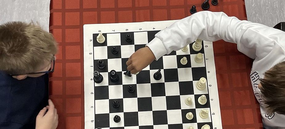 Североуральские шахматисты завоевали три золота на областном первенстве «Точки роста»