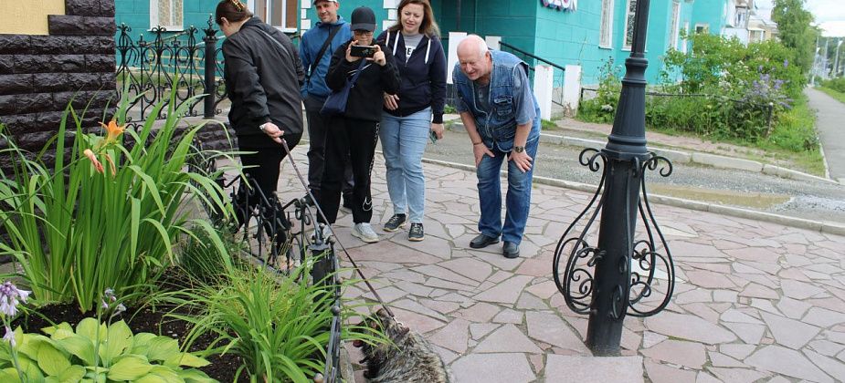 Уссурийский енот Чара живет в Североуральске. Любознательна и активна, но категорический однолюб