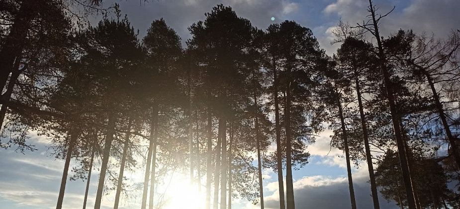 Константин Возьмитель - о трех факторах, влияющих на пожарную опасность в лесах