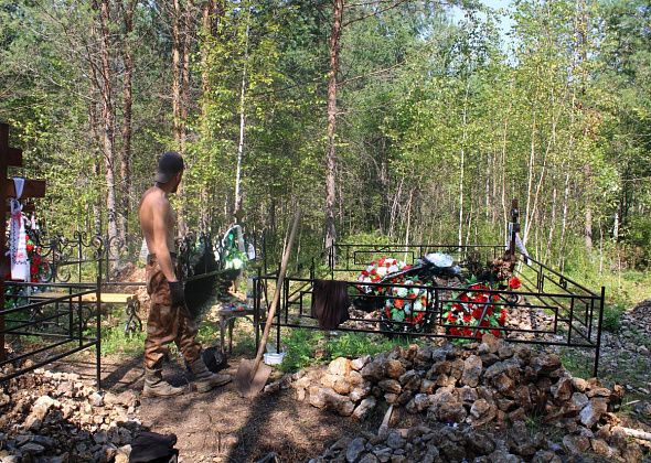 Сегодня на кладбище медведь за одно утро вышел к копщику дважды. Не боится ничего
