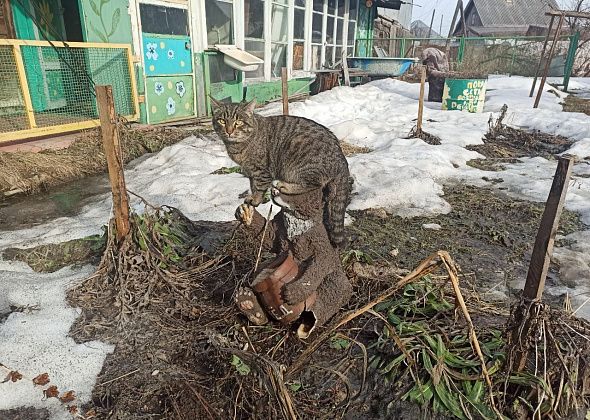 Приметы на 13 апреля. Приводим в порядок сад, не ревнуем