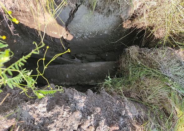 81-летняя женщина из Третьего Северного погибла, провалившись в старую выгребную яму. Труп извлекли, сапоги остались...