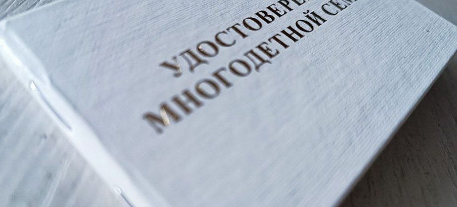 Многодетных мам из Североуральска наградят за рождение и воспитание детей