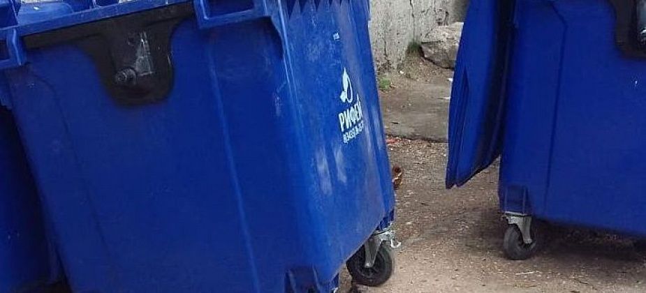 Помойка помойке рознь. Возле “Строителя” - как за границей, а в других дворах - ужас