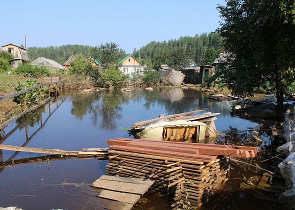 “Три брата”: вонь, смрад, мухи. Нужна большая дезинфекция (фото, видео)