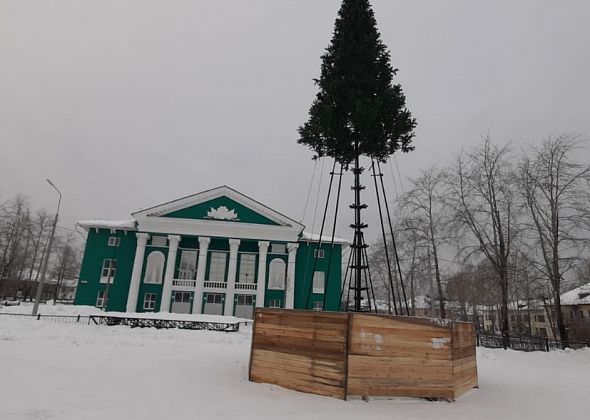 В Черемухово и Калье елки установили, в остальных поселках СГО - пока нет