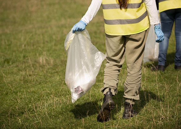 Несовершеннолетние североуральцы трудились в школах, загородном лагере, ОМПК