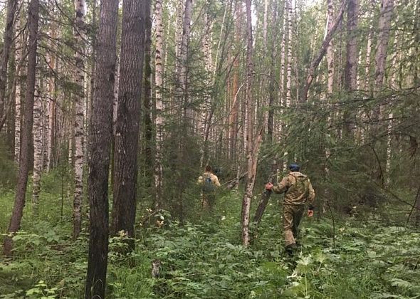 24-летнюю Яну продолжают искать. За день пешие группы обследовали 10 квадратных км лесного массива