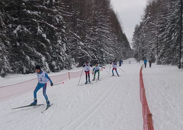 20 января в лыжных гонках “Вечерний Североуральск” участвовали 100 спортсменов. Итоги соревнований