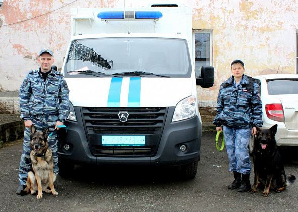 У кинологов из полиции был профессиональный праздник