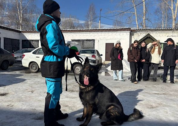 Будь в форме: полицейские Североуральска провели экскурсию для школьников