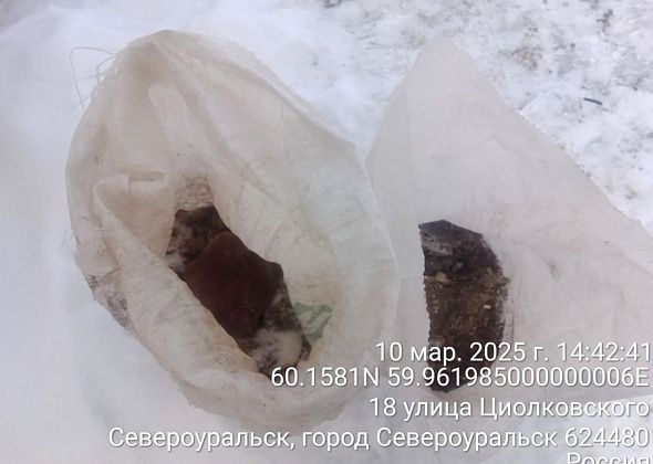 “Рифей” не вывозит из частного сектора ЖБО, не нужно складировать фекалии в мешки
