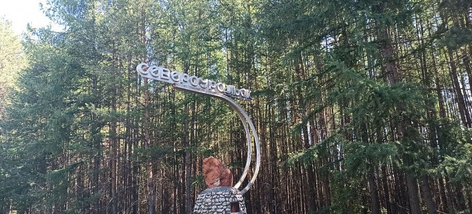 Сводка ОВД. За побои - 5 тысяч штрафа или арест на 10 суток. Чем еще отличились североуральцы?