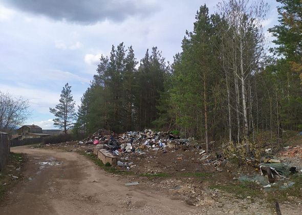 Если дачники не заключат договоры на вывоз мусора, ответственность за свалки ляжет на муниципалитет