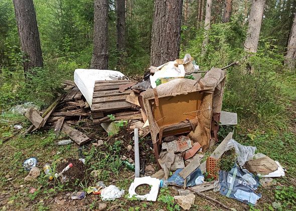 2 миллиона рублей истратили на ликвидацию 18 несанкционированных свалок