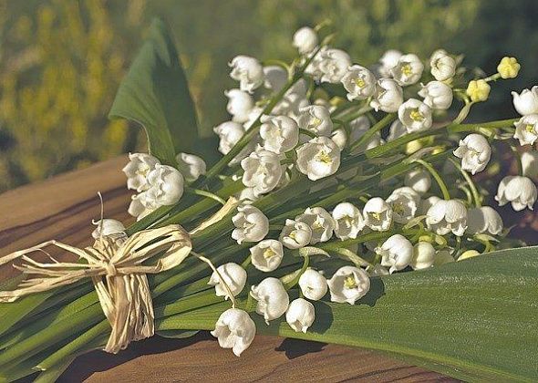 Какой погодой побалуют майские "каникулы"?