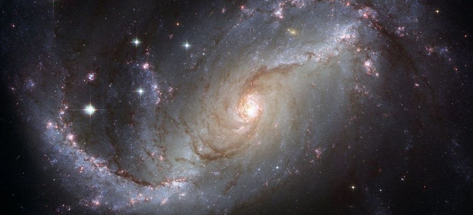 Что приготовили звезды на 2024-й? 