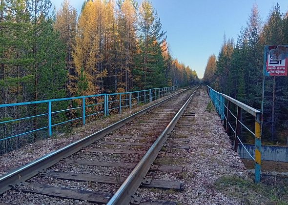 Блог. Алла Брославская: «О роли поездов в моей жизни, поездках приятных и не очень»