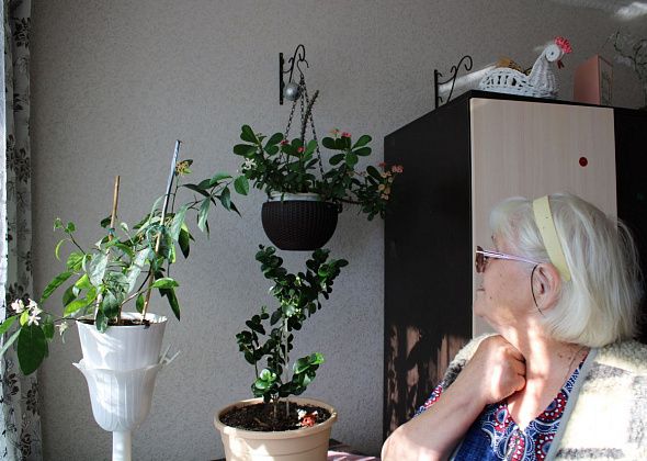 Цветочница Анюта с Ленина, 9, вырастила перед домом курильский чай, а в квартире - гранат