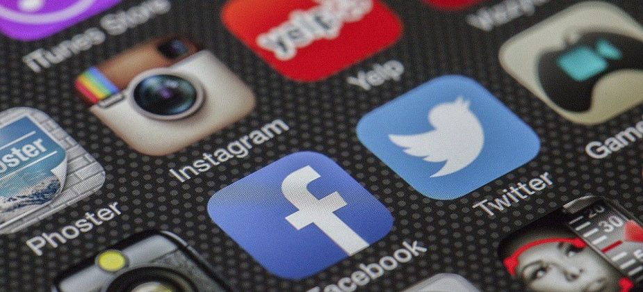 Какой «хозяин», такой и «огород» – что еще горожане пишут в соцсетях?