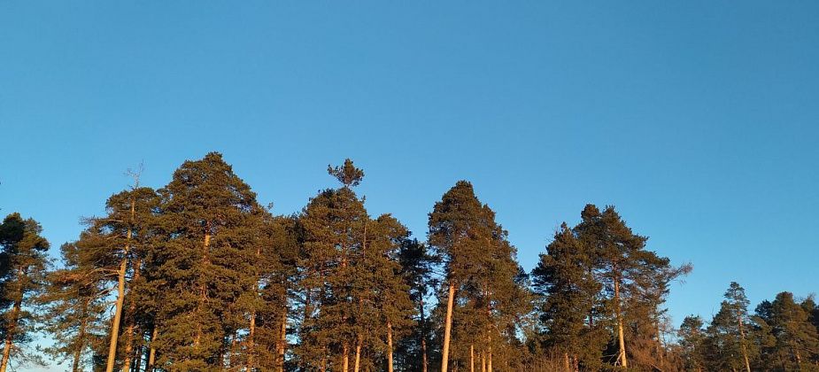 Администрация Североуральска ищет, кто ликвидирует несанкционированные свалки