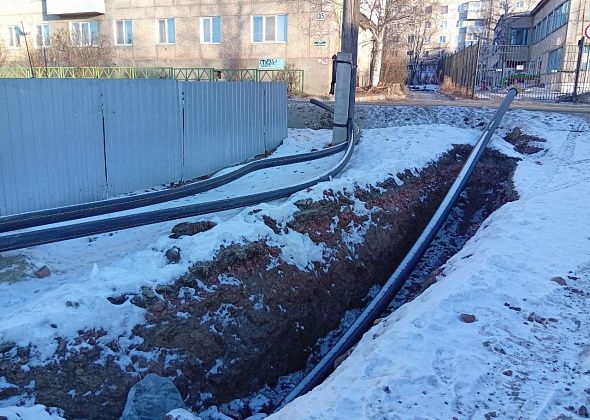 Идет газификация. Деревья нарушены. Кто восстановит территорию?