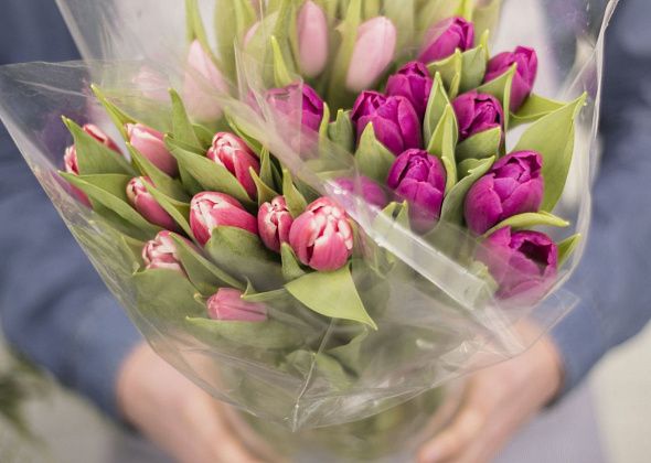 Тринадцатая школа празднует юбилей – 80 лет. Это здорово, это классно!