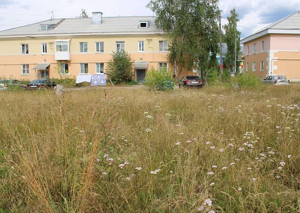 Траву в Североуральске косит ИП Лядов. Территории вне контракта выкашивает “Служба заказчика”