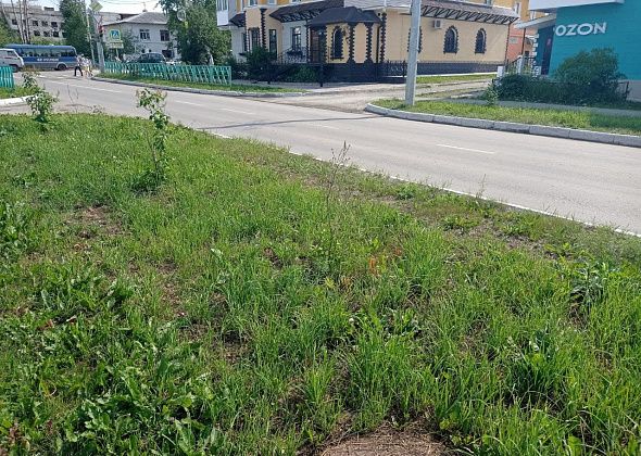 3 миллиона рублей за содержание дорог в городе, 300 тысяч рублей - на Горном