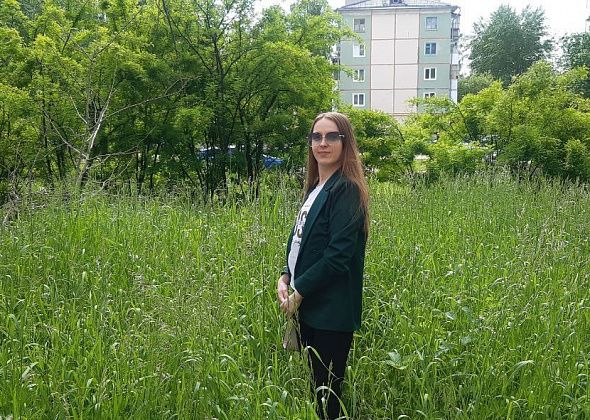 Североуральцы интересуются, кто должен скосить траву по улице Свердлова: "Она практически с мой рост"