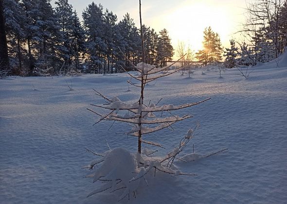 Приметы на 16 января. Не хвастаемся, не ходим в лес